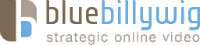 Logo Blue Billywig