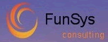 Logo Funsys - Functionele Systemen