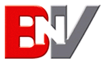 Logo B&V Consultants