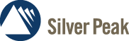 Logo Silver Peak Systems