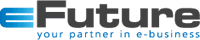 Logo eFuture B.V.
