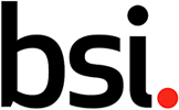 Logo BSI Group The Netherlands BV