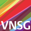 Logo VNSG