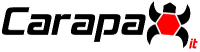 Logo Carapax IT