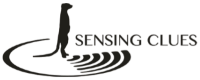Logo Sensing Clues