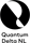 Logo Quantum Delta NL