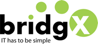 Logo bridgX