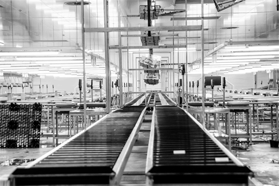 Nederlanders steunen miljarden voor innovatie, maar missen vertrouwen in productiviteitswinst