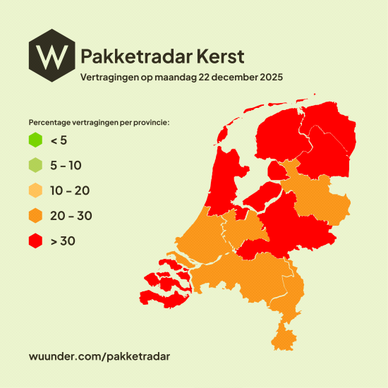 Nederlandse pakketbezorgers leveren vrijwel alle kerstorders op tijd ondanks piekdrukte